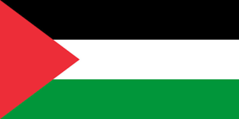 palestine-flag-e41794c60a001cf1de53bcab130e95781713899529.png