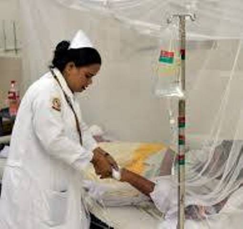 dengue-patient-4490a7324fe810b2ecc764248284186d1714831418.jpg