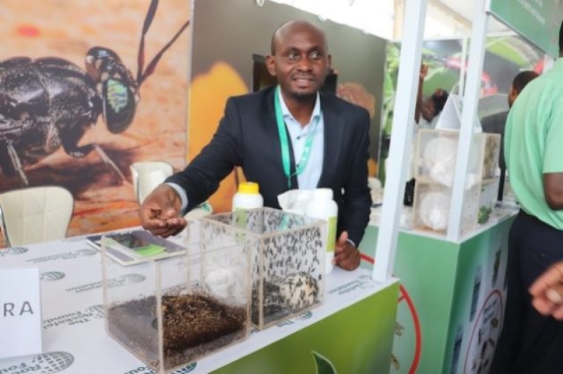 allan-ligare-from-mzuri-organics-in-kakamega-county-showcasing-how-insects-are-used-to-make-fertilizer-29bba07349747f93c705d046eb0edb191715363243.jpg