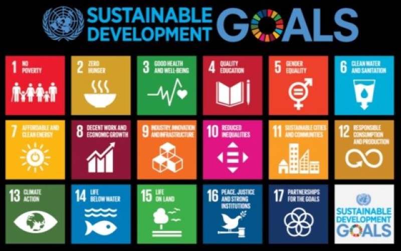 sdgs-sustainavle-development-goals-5ff0788d7105f2226c841ec255a4d8261715362496.jpg