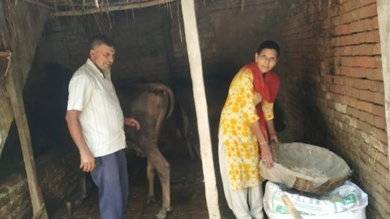 surjeet-kumari-and-her-husband-pardeep-kumar-in-their-barn-8676bf3aae8d486e3c8c52e1363672491719647142.jpeg