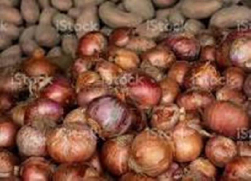 onion-price-86ec2d196ef2c0ebe9633f6619b4d60a1720254273.jpg