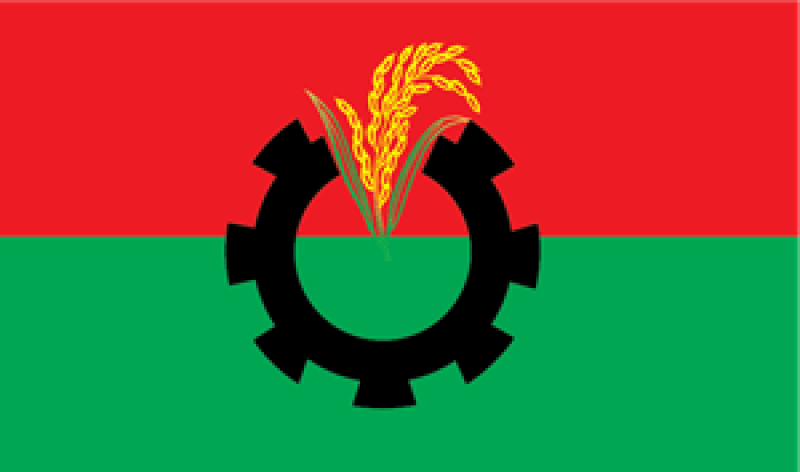 bnp-flag-2ce8077bf9590d9a0115ee9c42b060f01725855859.png