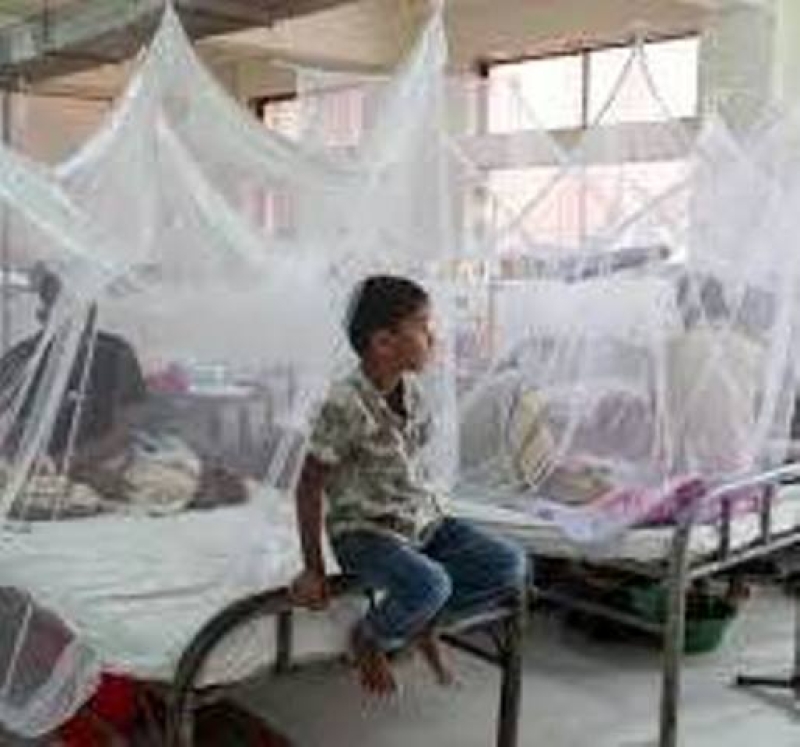 dengue-photo-bc2b1b39f403c387872bf571bf04b9b01726926419.jpg