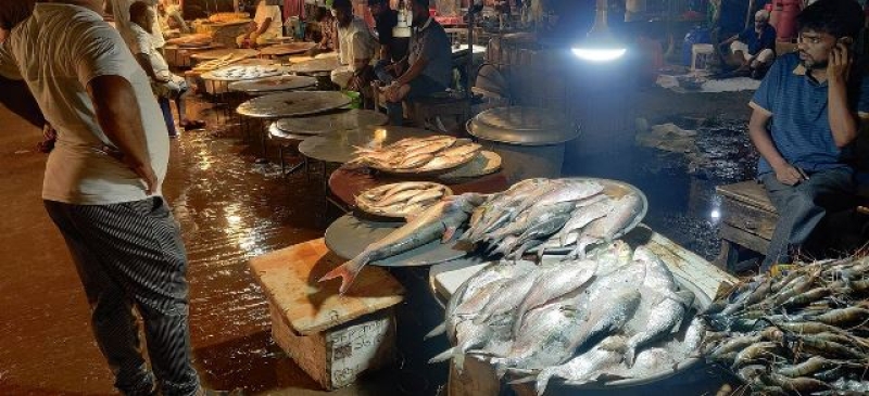 hilsa-india-46bfde899361d7668b5debe435a6cf801728821942.jpg