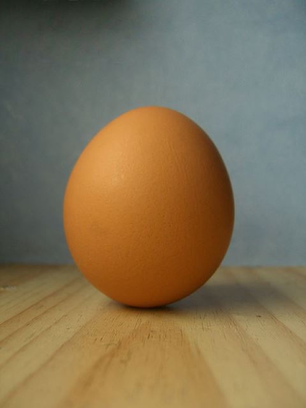 egg-photo-d5845db1d839652ad38f79876ec50f8e1729000079.jpg