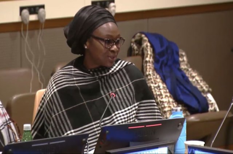 mama-fatima-singhateh-united-nations-special-rapporteur-on-the-sale-sexual-exploitation-and-sexual-abuse-of-children-explains-the-importance-of-raising-awareness-fc3461c7279c060379b73b832a2ecad51728964976.jpg