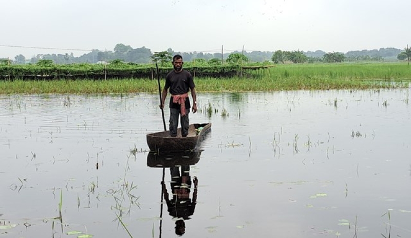 narail-fishery-f9029af77c2ad8727bf8c94abf8bbcc81729321384.jpg