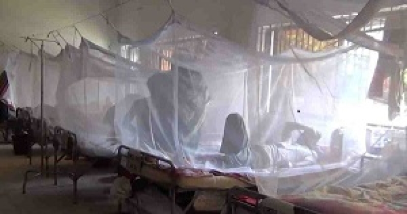 dengue-patients-in-a-hospital-4bc5def099a2eee3b8183e1eb9b99eed1730820848.jpg