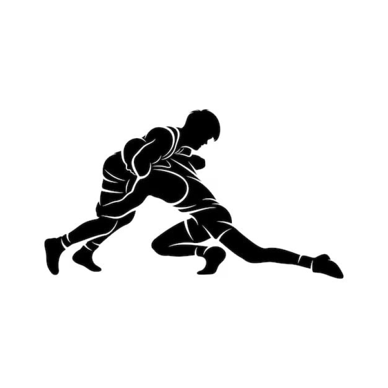 national-wrestling-competition-begins-tomorrow-17a2b946dcb2ce78ba32bcb817df85c51731430282.jpg