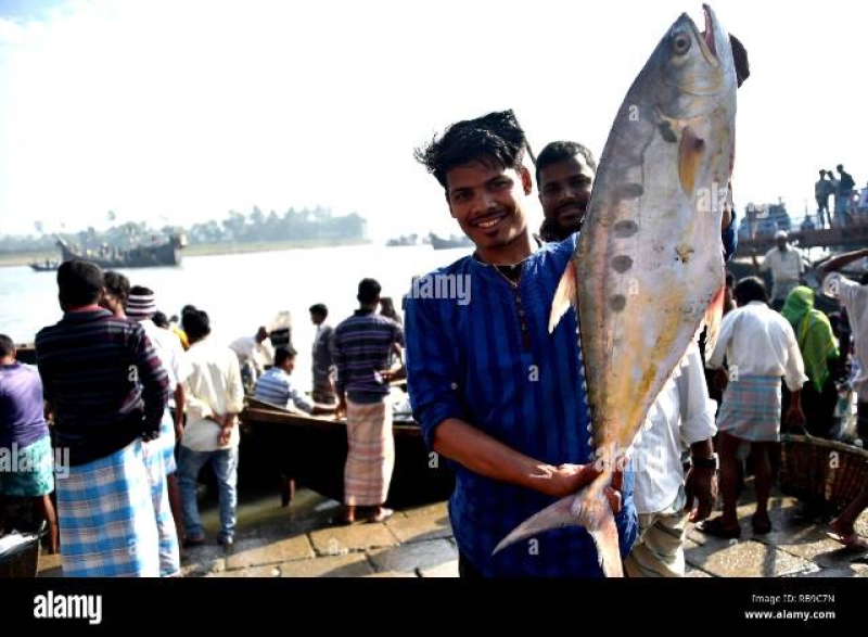 coxs-bazar-fish-landing-station-94494cdc9cf05bb5f698f0d55da242161738168235.jpg