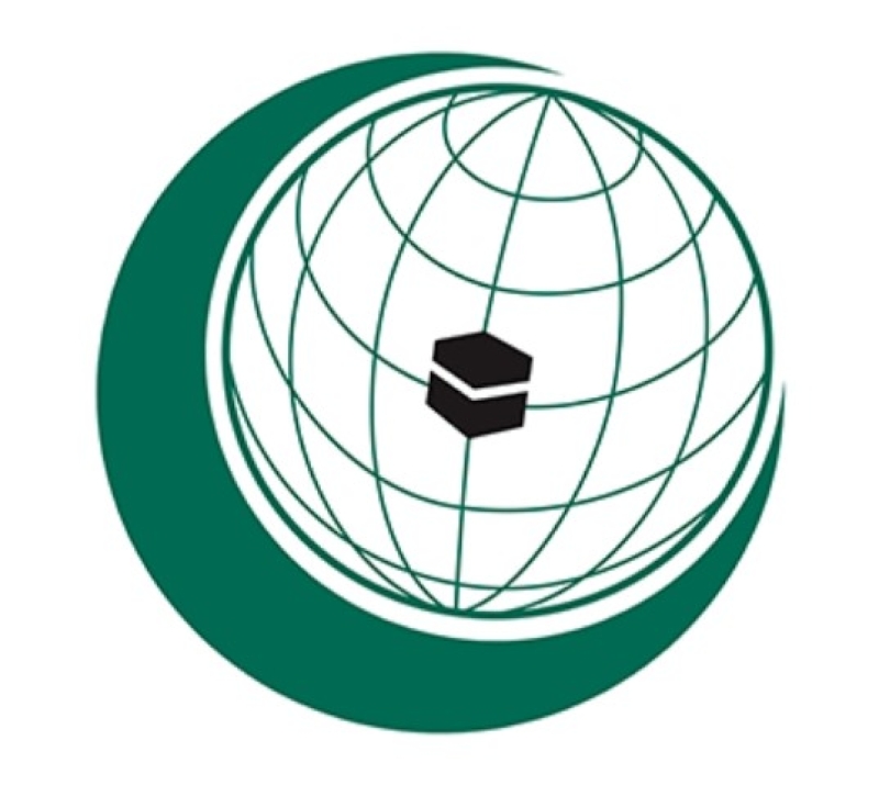 oic-logo2_11zon-fc9faae5b58b9e1b73c5a9971ea32b121741025861.jpg