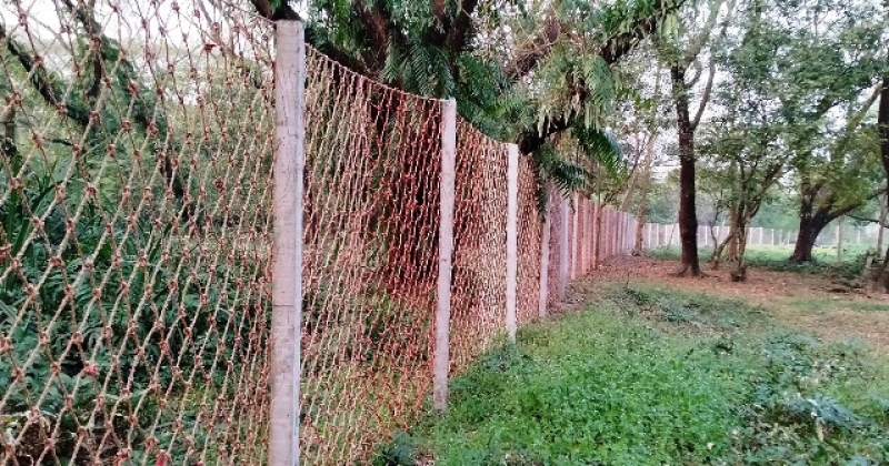 nylon-fence-along-the-sundarbans-to-prevent-man-animal-conflicts-48c7ecdaac637bb7a55e8e5b7d72cbfd1741836044.jpg