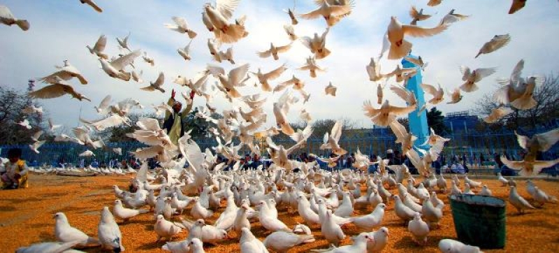 peace-doves-fly-on-the-grounds-of-the-historic-hazrat-i-ali-mosque-in-the-city-of-mazar-i-sharif-afghanistan-2cc276ff71efd52b0c8f9a081d0a34441742024118.jpg