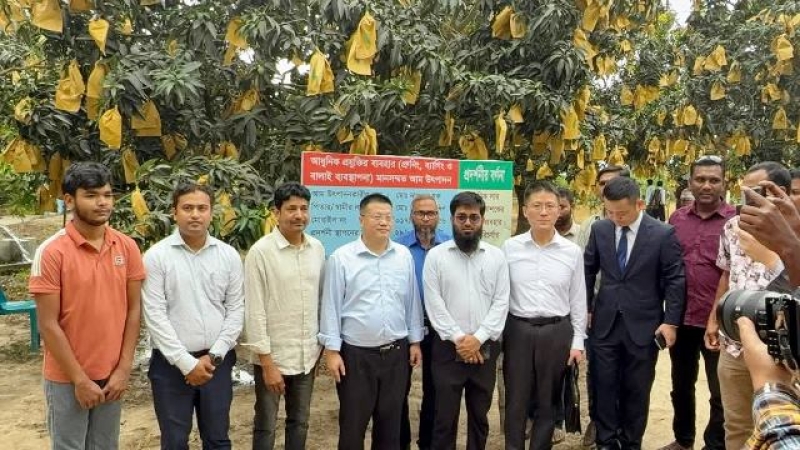 chinese-ambassador-yao-wen-visited-mango-orchards-in-chapainawabganjk-on-monday-28-april-2025-fb2a424dbdb1e8814851311524da1b291745865117.jpg