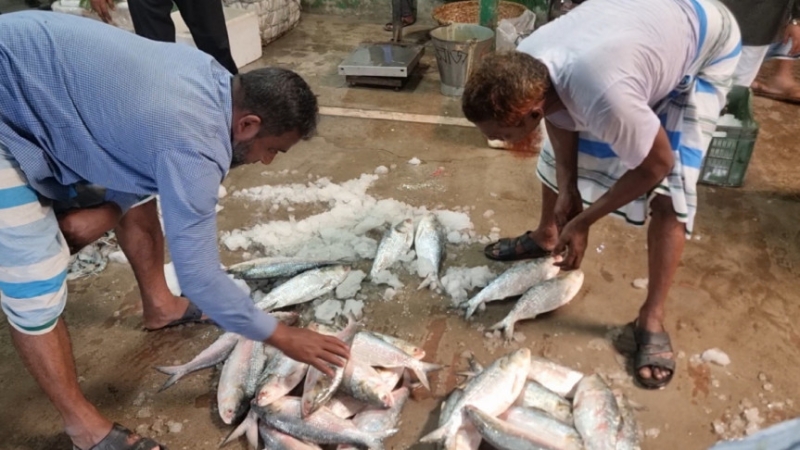 caandpur-f2752c5c422882681c2df34ac809bfcf1746089502.jpg