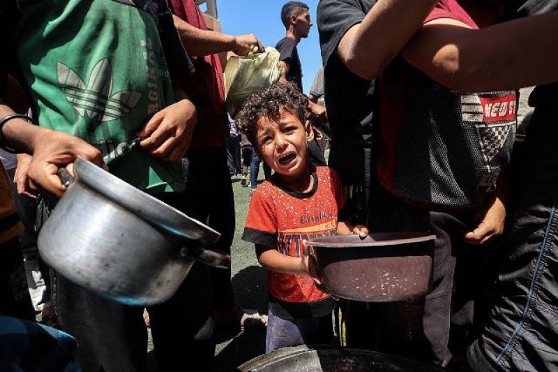 palestinians-in-gaza-lured-to-food-aid-hubs-in-the-most-degrading-manner-and-then-shooting-them-761cbd6c1aacc9697c5de6bcb3bf82cc1749576692.jpg