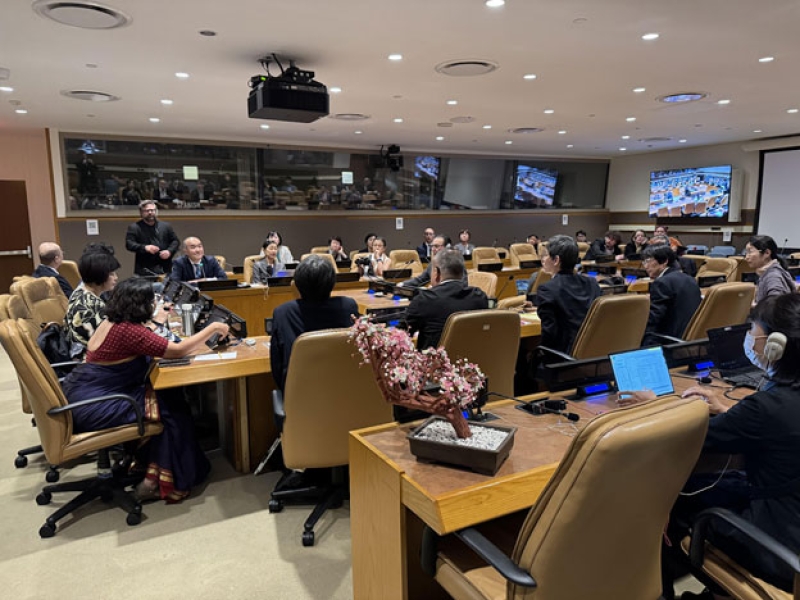 at-the-united-nations_-6b01f7457849ed94a8ecb38f4331229d1749816617.jpg