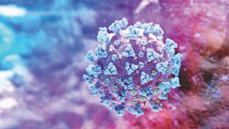 coronavirus_20_0-0a73147f5c6f2fc77d0d17b88ac9a6da1750778578.jpg