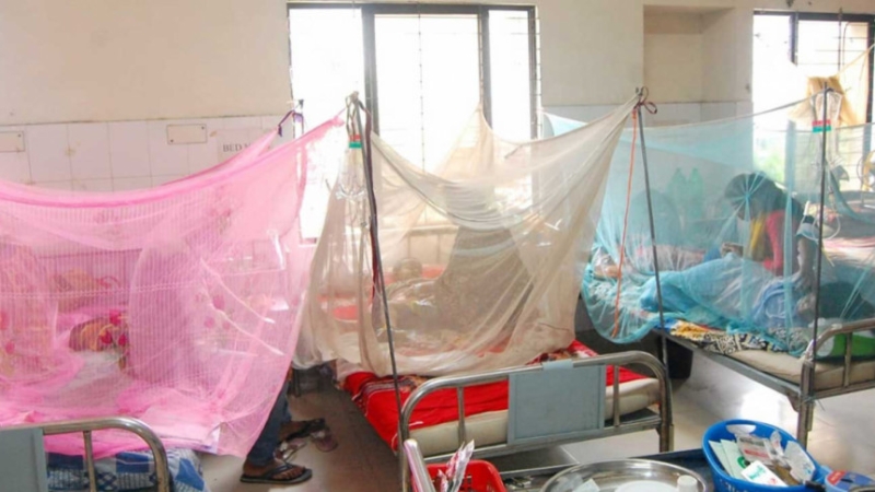 dengue-focas11-a02cb8d628acacbe80ac108137a5a3f21751717972.jpg