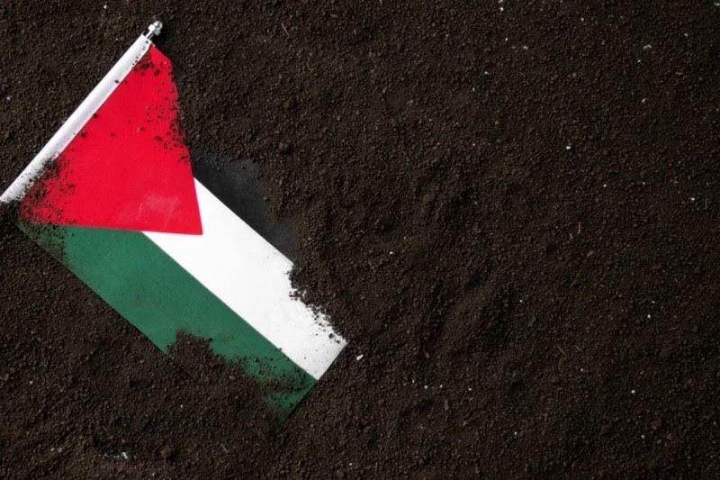 palestine-symbol-240d86998fe989105effe715c1ef59641752249162.jpg